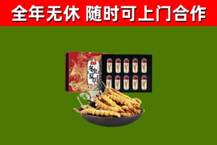 达州市回收冬虫夏草价格